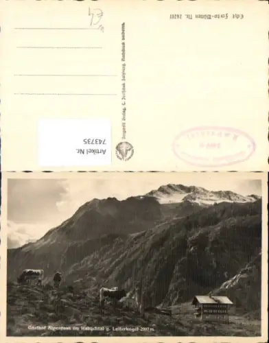 743735 Foto AK Bramberg a. Wildkogel Gasthof Alpenrose im Habachtal g. Leiterkogel Kühe