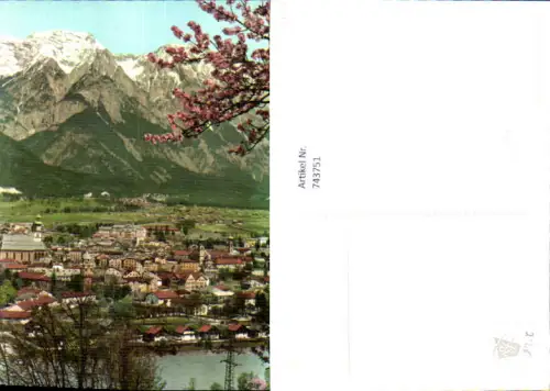 743751 Foto AK Solbad Hall Tirol Ansicht m. Baumblüte i. Vordergrund