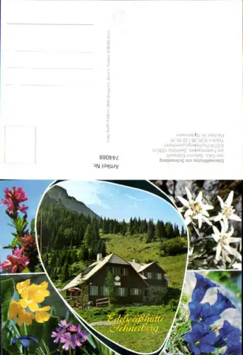 744088 Mehrbild AK Puchberg Losenheim Edelweißhütte a. Schneeberg Alpenflora