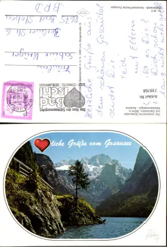 739768 Gosausee mit Dachstein Gosau Baum am Ufer im Vordergrund