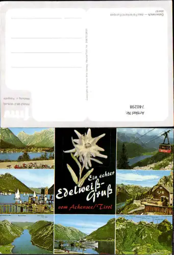 740298 Material AK Echtes Edelweiß Pertisau a. Achensee Seilbahn Gondel Schiff Dampfer