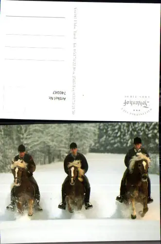 740347 Haflingergestüt Fohlenhof Ebbs Tirol Pferde Reiten im Winter Schnee