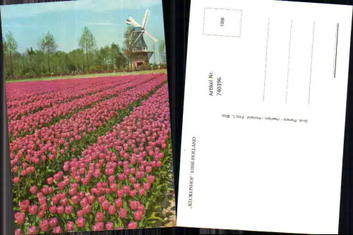 740396 Keukenhof Lisse-Holland Blumen Tulpen Windmühle Nederlands