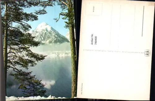 740400 Am Achensee Winteransicht m. Baum im Vordergrund Pertisau Eben a. Achensee