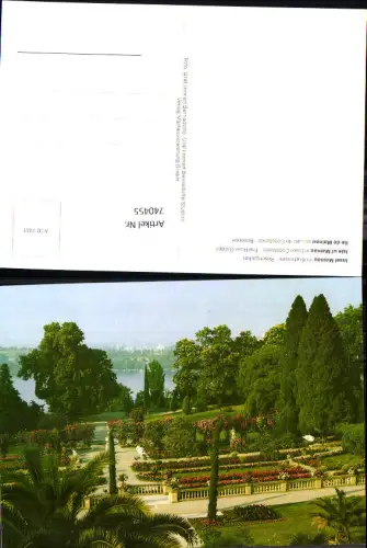 740455 Insel Mainau im Bodensee Rosengarten Blumen Palme