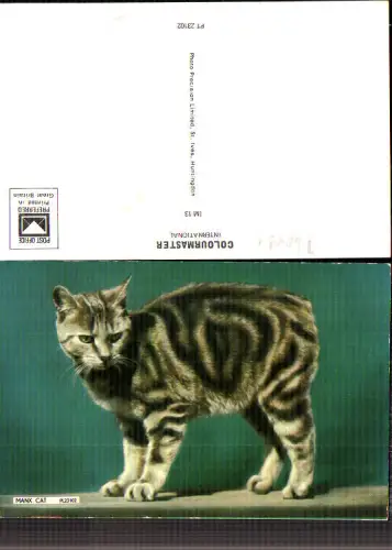740494 Manx Cat Katze Tiere