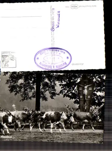 740498 Fotokunst Almabtrieb Kühe Kuh Kreuz Marterl Schliersee Tegernsee Spitzingsee Umgebung
