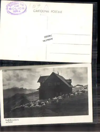 740502 Kadilnikova koca na Golici Schafe Slovenia