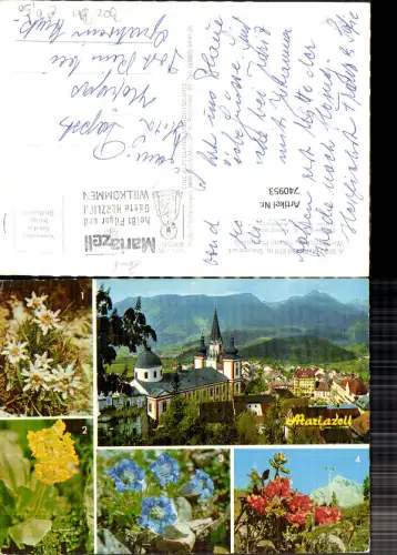 740953 Mehrbild AK Mariazell Maria Zell Wallfahrtskirche Alpenflora Edelweiß Enzian