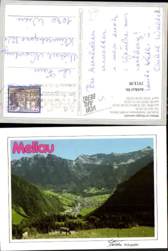 741138 Mellau im Bregenzerwald Ansicht m. Kühe Rinder i. Vordergrund