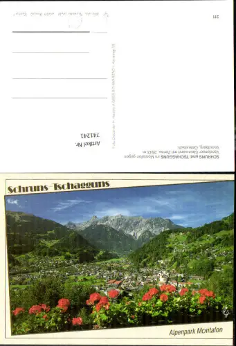 741241 Schruns Tschagguns Montafon Vandanser Steinwand m. Zimba Blumen i. Vordergrund