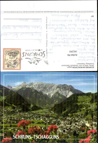 741243 Schruns Tschagguns Montafon Vandanser Steinwand m. Zimba Blumen i. Vordergrund