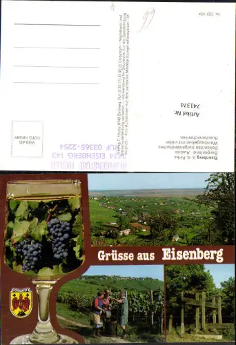 741374 Mehrbild AK Eisenberg a. d. Pinka Weinbau Weinberg Weintrauben Wein