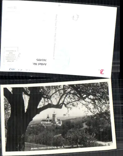 741495 Foto AK Burg Forchtenstein Baum im Vordergrund