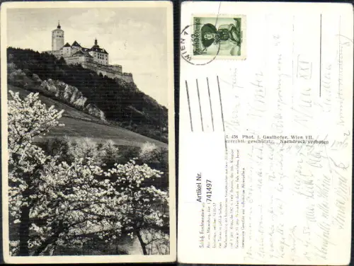 741497 Forchtenstein Schloss Burg Baumblüte i. Vordergrund