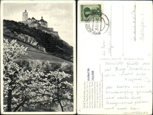 741498 Forchtenstein Schloss Burg Baumblüte i. Vordergrund