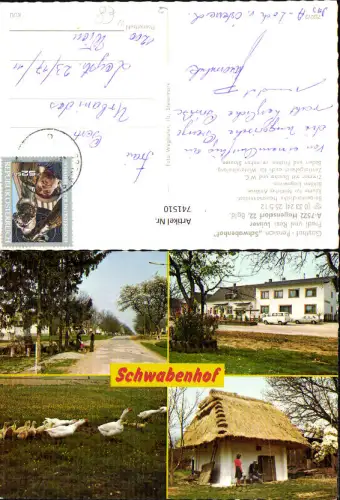 741510 Mehrbild AK Hagensdorf Gasthof Pension Schwabenhof Gans Gänse Reetdachhaus
