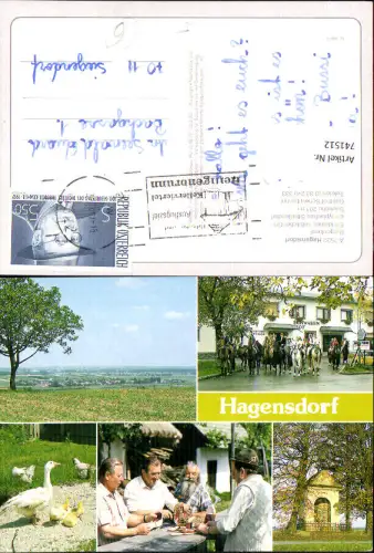 741512 Mehrbild AK Hagensdorf Gasthof Schwabenhof Gans Gänse Reiten Pferde