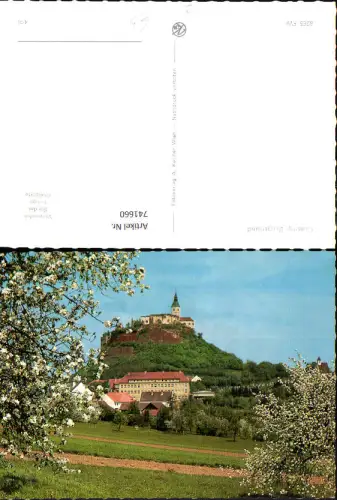741660 Güssing m. Burg Baumblüte i. Vordergrund