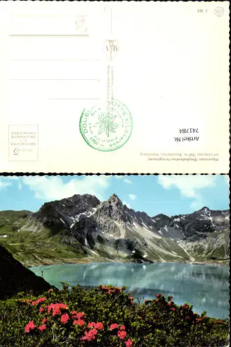 741784 Lünersee Vandans Alpenrosen Brandnertal