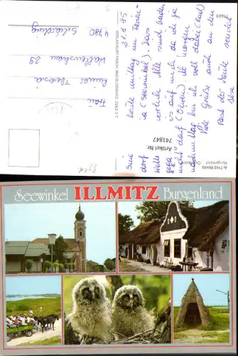 741847 Mehrbild AK Illmitz Seewinkel Pfarrkirche Barockgiebelhaus Pferdewagen Vogelnest