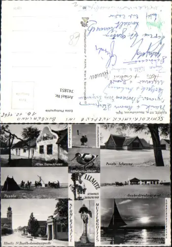741851 Mehrbild Foto AK Illmitz Seewinkel Puszta-Scheune Seebaderestaurant Storchenhorst