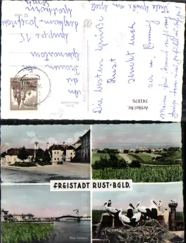 741876 Mehrbild Foto AK Freistadt Rust a. Neusiedlersee Straßenpartie Storchenhorst