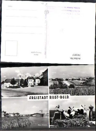 741877 Mehrbild Foto AK Freistadt Rust a. Neusiedlersee Straßenpartie Storchenhorst