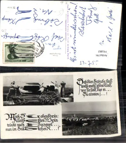 741882 Mehrbild Foto AK Freistadt Rust a. Neusiedlersee Storchenhorst Spruch Text