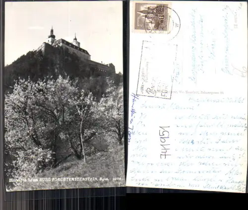 741951 Foto AK Forchtenau Burg Forchtenstein Baumblüte im Vordergrund