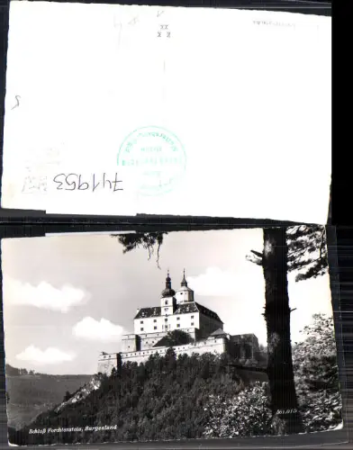 741953 Foto AK Forchtenau Burg Forchtenstein Baum im Vordergrund