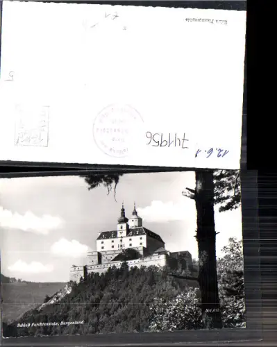 741956 Foto AK Forchtenau Burg Forchtenstein Baum im Vordergrund