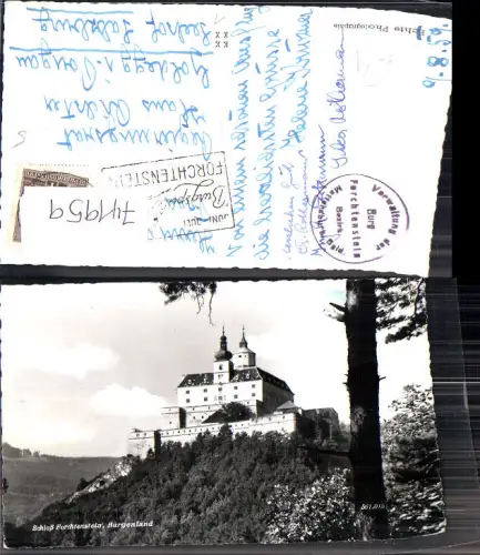 741959 Foto AK Forchtenau Burg Forchtenstein Baum im Vordergrund