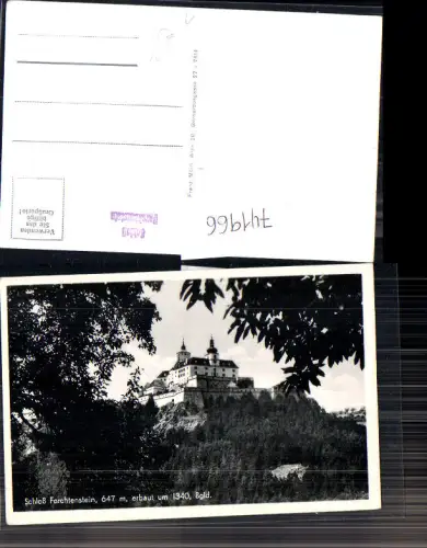741966 Foto AK Forchtenau Burg Forchtenstein Baum im Vordergrund