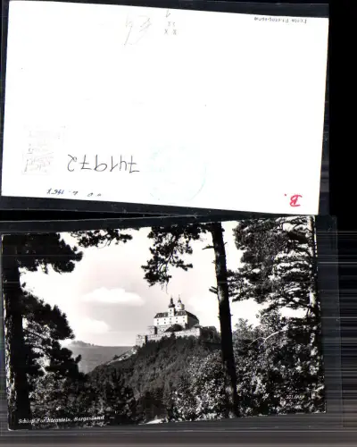741972 Foto AK Forchtenau Burg Forchtenstein Baum im Vordergrund