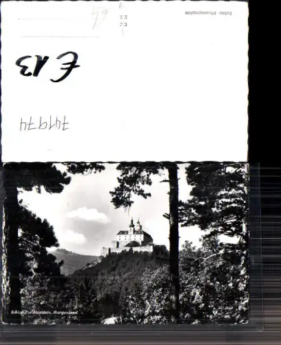 741974 Foto AK Forchtenau Burg Forchtenstein Baum im Vordergrund