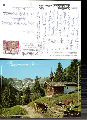 741982 Alpe Boden b. Au im Bregenzerwald b. Alberschwende Kühe Rinder Kapelle