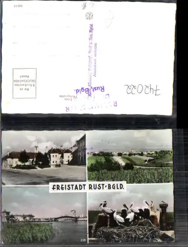 742022 Mehrbild AK Freistadt Rust Straßenpartie Storchenhorst