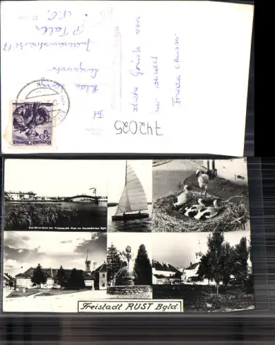 742025 Mehrbild AK Freistadt Rust See-Strandbad Brunnen Storchenhorst Dorfpartie Kirche