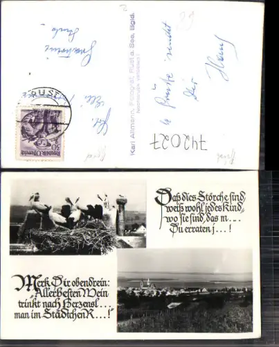 742027 Mehrbild AK Freistadt Rust Storchenhorst Ansicht Text Spruch