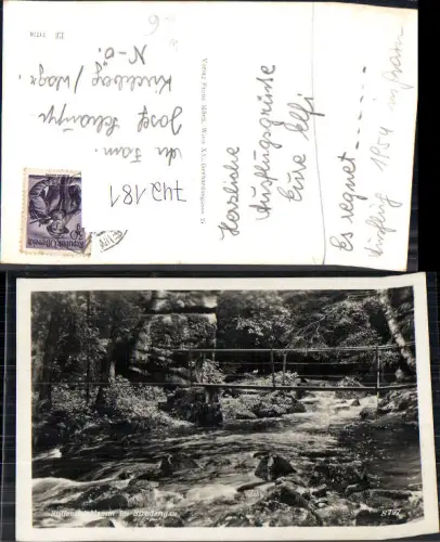 742181 Foto AK Stillensteinklamm im Strudengau St Nikola a. d. Donau