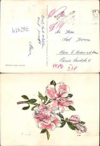 742414 Künstler AK Schenker-Lange Azalee Blumen