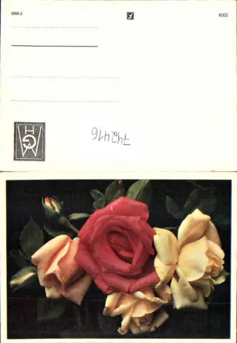 742416 Künstler AK Gelbe Rote Rosen Blumen