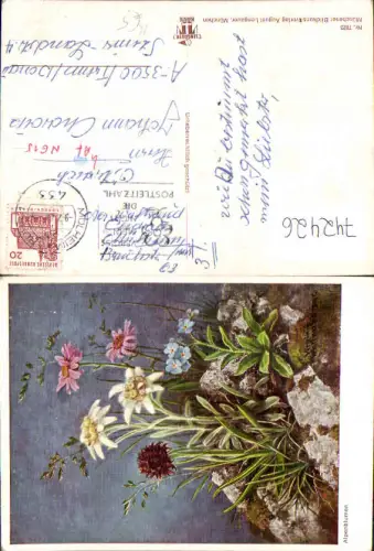 742426 Künstler AK Virginia Waltenberger Alpenblumen Blumen