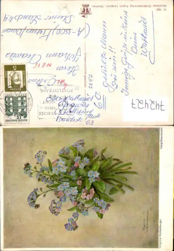 742427 Künstler AK Virginia Waltenberger Vergißmeinnicht Blumen Vergissmeinnicht