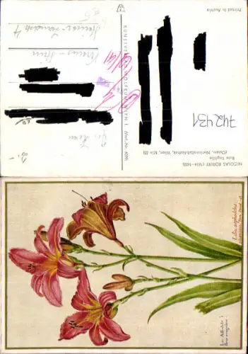 742431 Künstler AK Nicolas Robert Rote Taglilie Blumen
