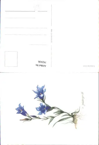 742436 Künstler AK S. Goldberger Enzian Lungenenzian Alpenflora Blumen