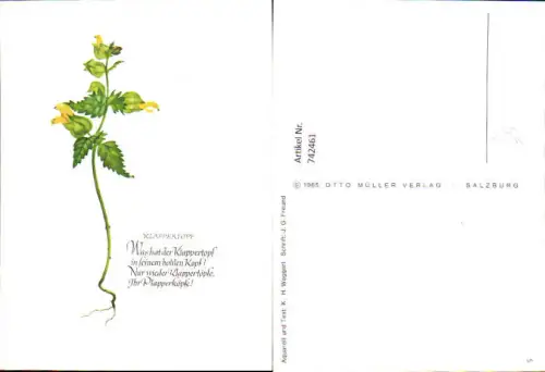 742461 Künstler AK K. H. Waggerl Klappertopf Text J. G. Freund Blumen