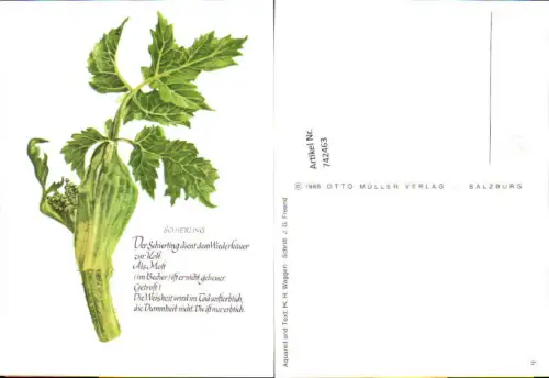 742463 Künstler AK K. H. Waggerl Schierling Text J. G. Freund Blumen