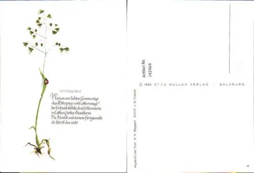742464 Künstler AK K. H. Waggerl Zittergras Text J. G. Freund Blumen
